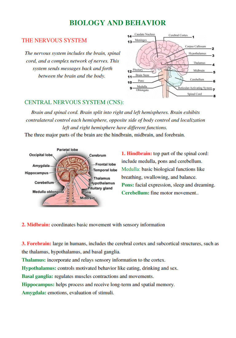 Screenshot 2025-07-25 at 6.16.31 PM