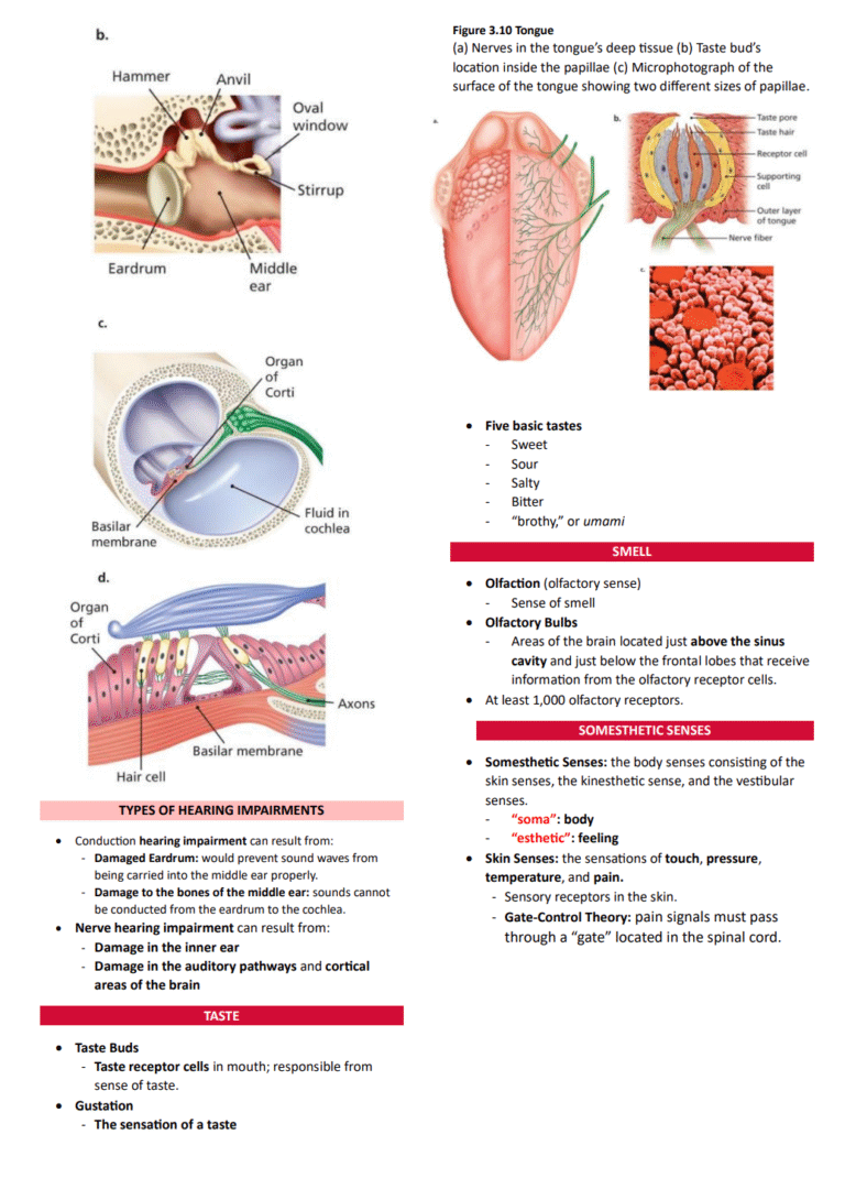 Screenshot 2025-07-25 at 6.18.08 PM